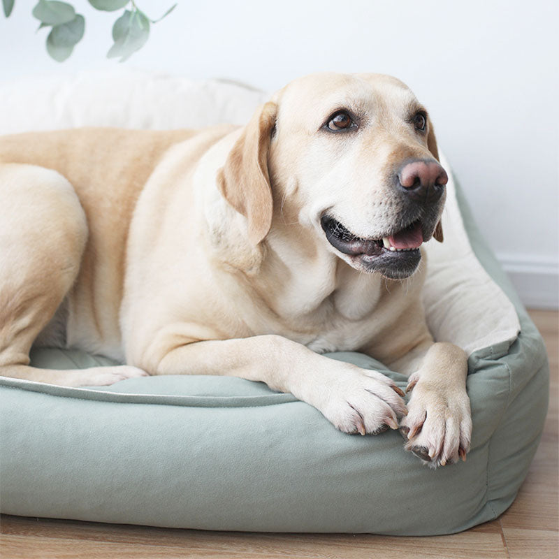 Four Seasons Universal Large Dog Removable Washable Kennel