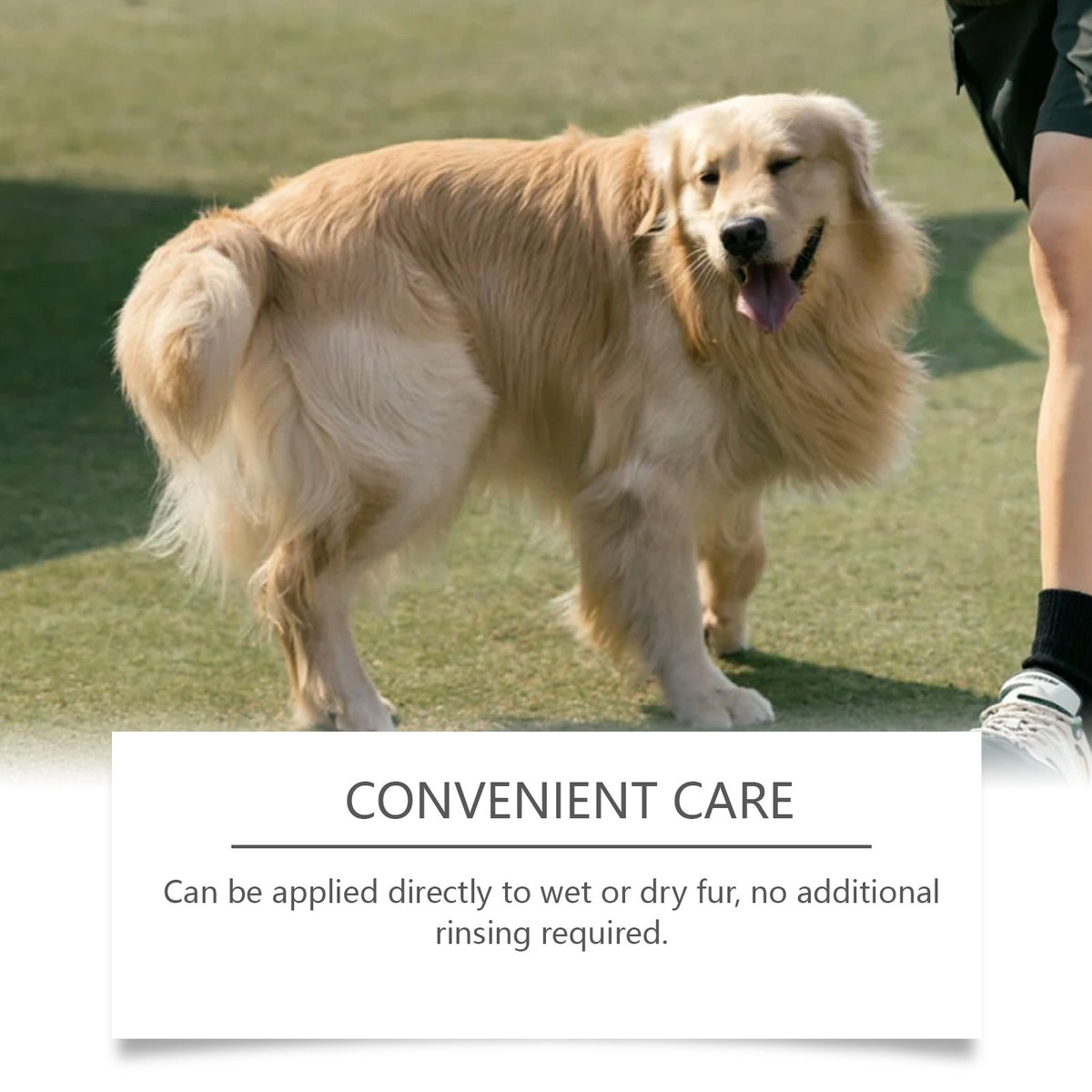 No-Rinse Grooming Spray For Dogs That Smooths Softens And Adds Shine To Their Coat
