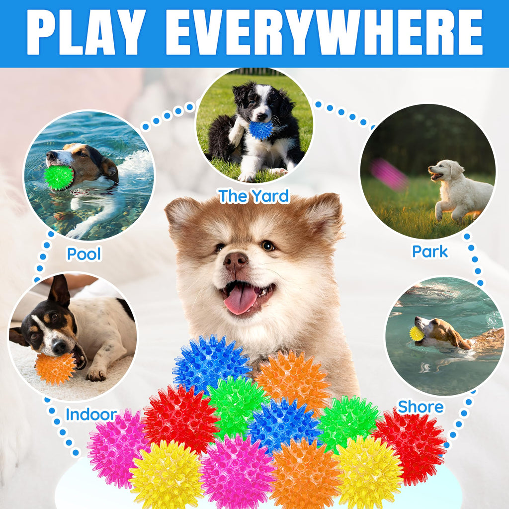 12-Pack Squeaky Spiky Dog Balls