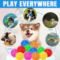 12-Pack Squeaky Spiky Dog Balls