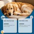 Antibacterial Wound Spray For Dogs