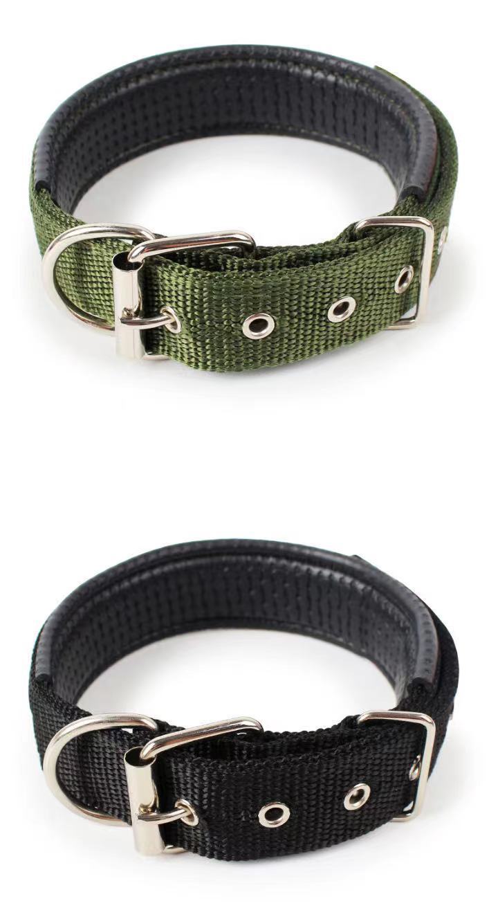 Adjustable Nylon Dog Collar