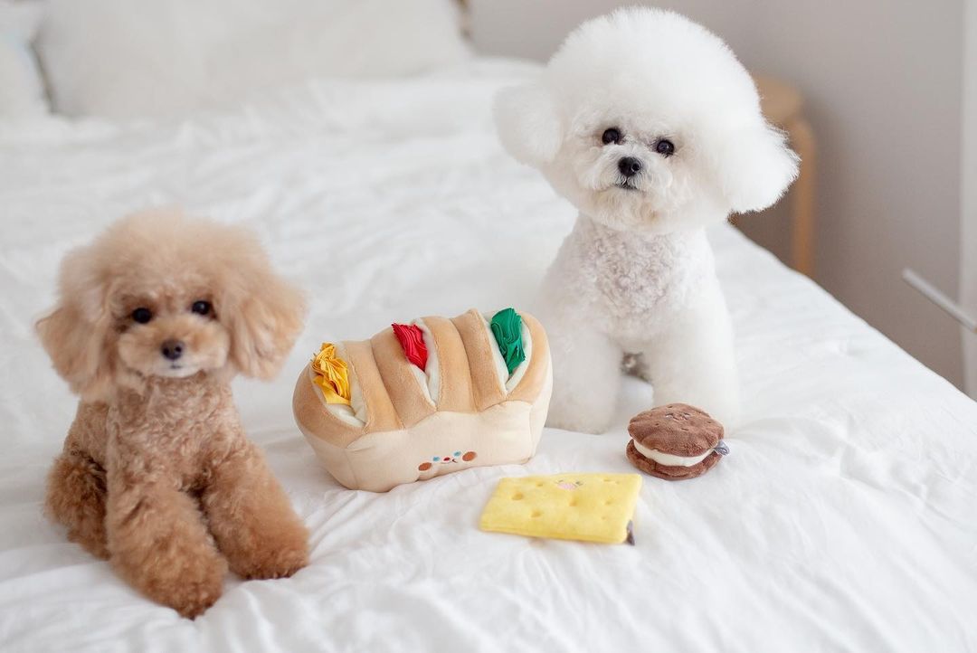 Bread Toast Sniffing Tibetan Food Toys