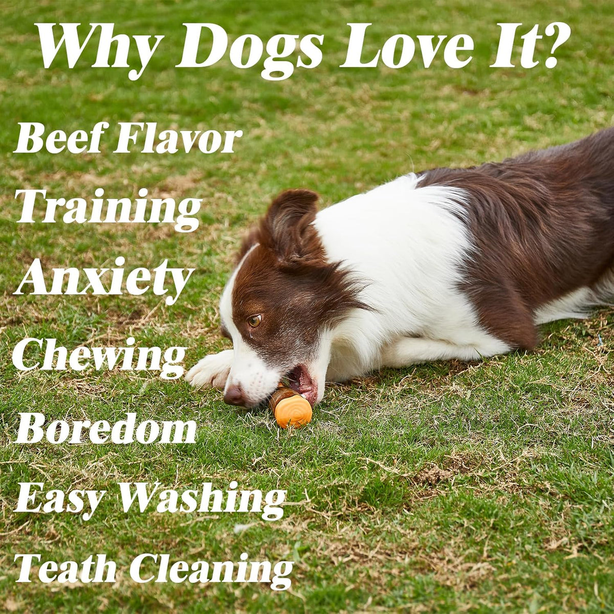 Dog Bones Chew Toys For Aggressive Chewers Real Beef Flavor Indestructible Dog Teething Chew Toys For Large Medium Small Puppies Breed Tough