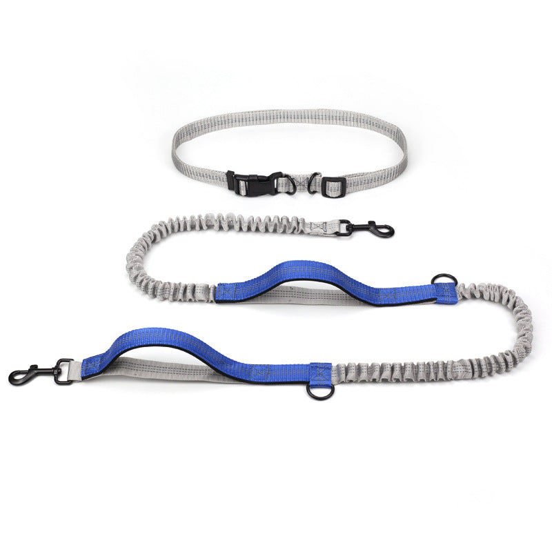 Reflective Double Telescopic Running Dog Leash