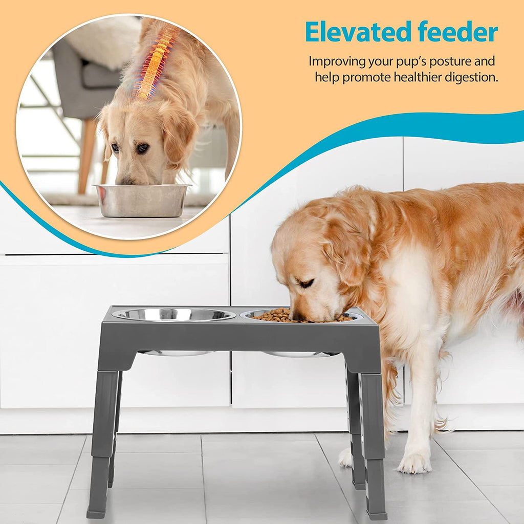 Lifting Slow Feeder Dog Bowl Rack