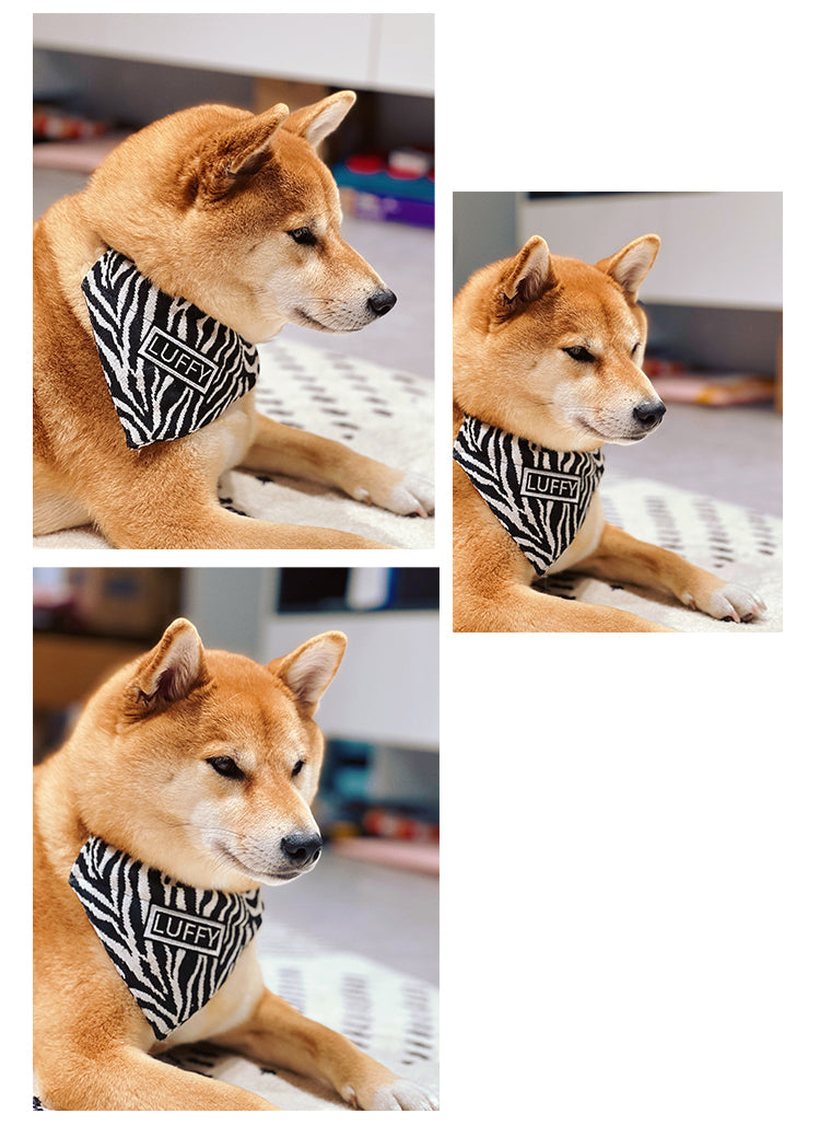 Shiba Inu Triangle Bib Scarf