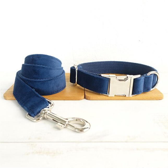 Bow Pet Collar Large And Small Pet Traction Collar Dog Chain