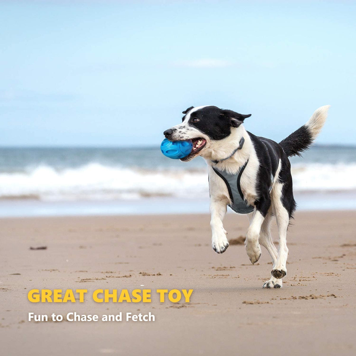 Rubber Squeaky Rugby Dog Toy