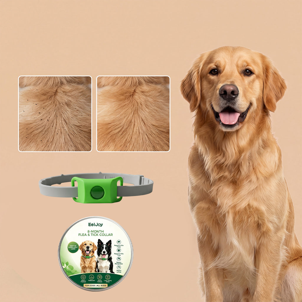 Flea and Tick Collar for Dogs