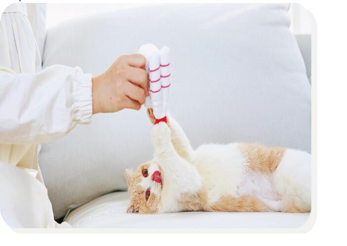 Sushi Catnip Toy Self-Hey Relieves Boredom And Bite-Resistant Pet Supplies