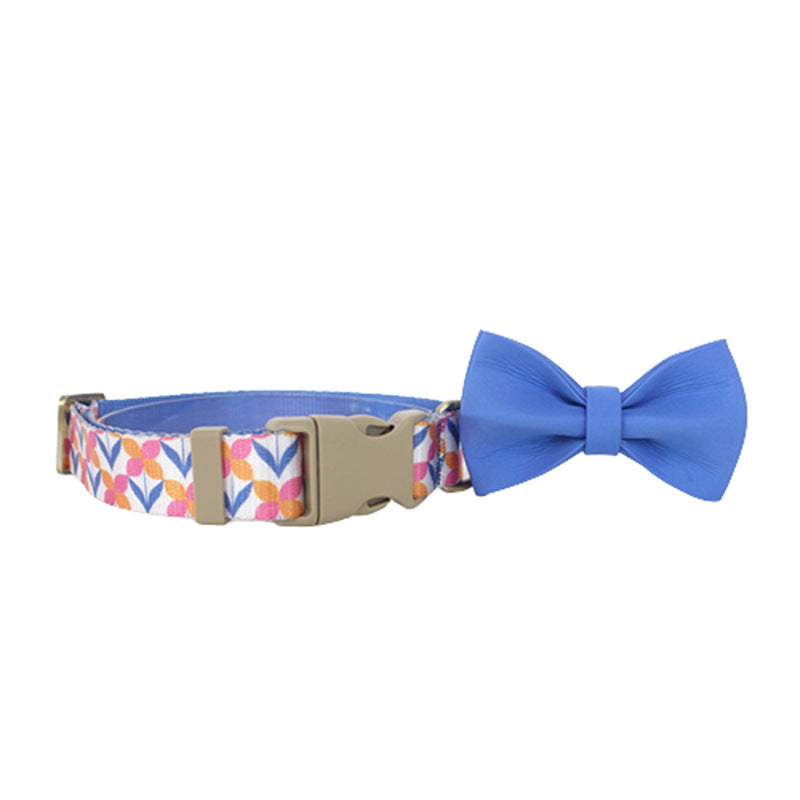 Outdoor Training Dog Collar with Leash