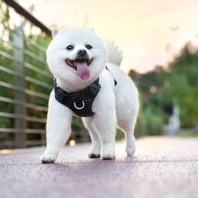 Dog Chest Harness Traction Led Outdoor Night Light