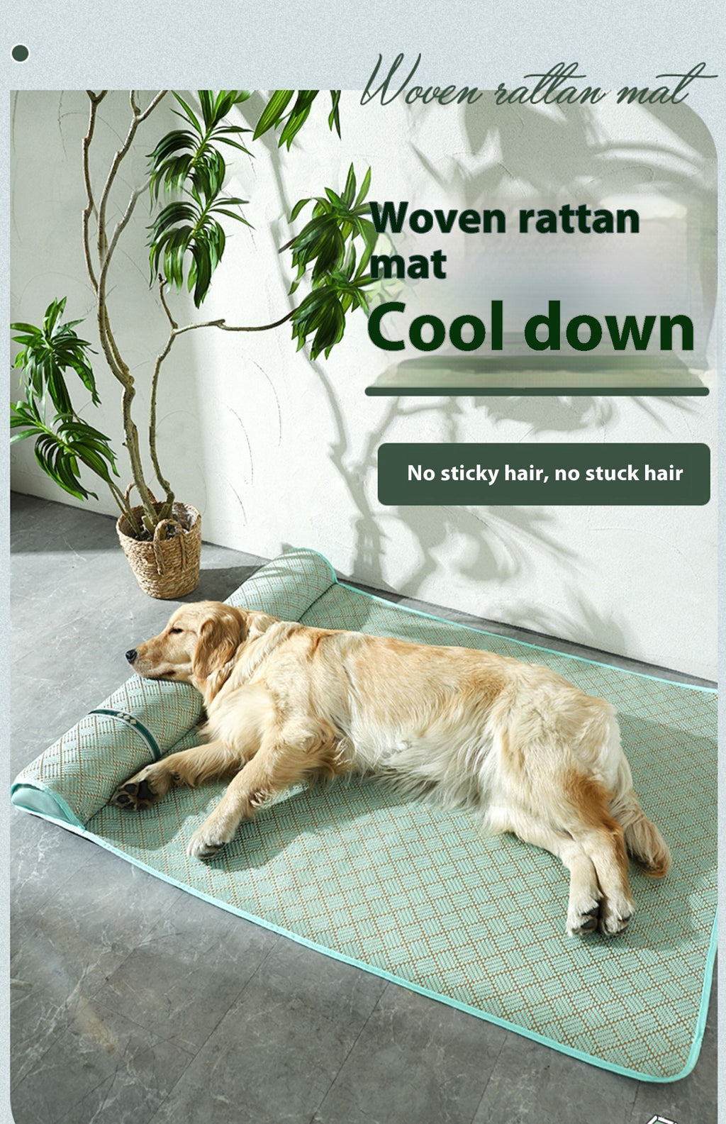Summer Kennel Dog Mat