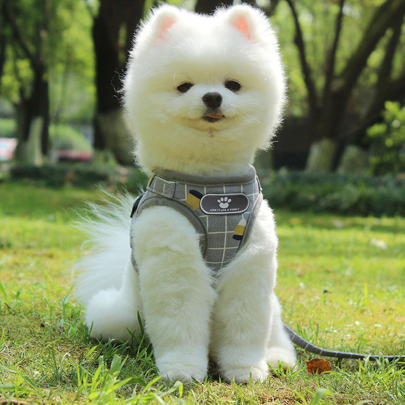 Reflective Dog Leash for Night Walks