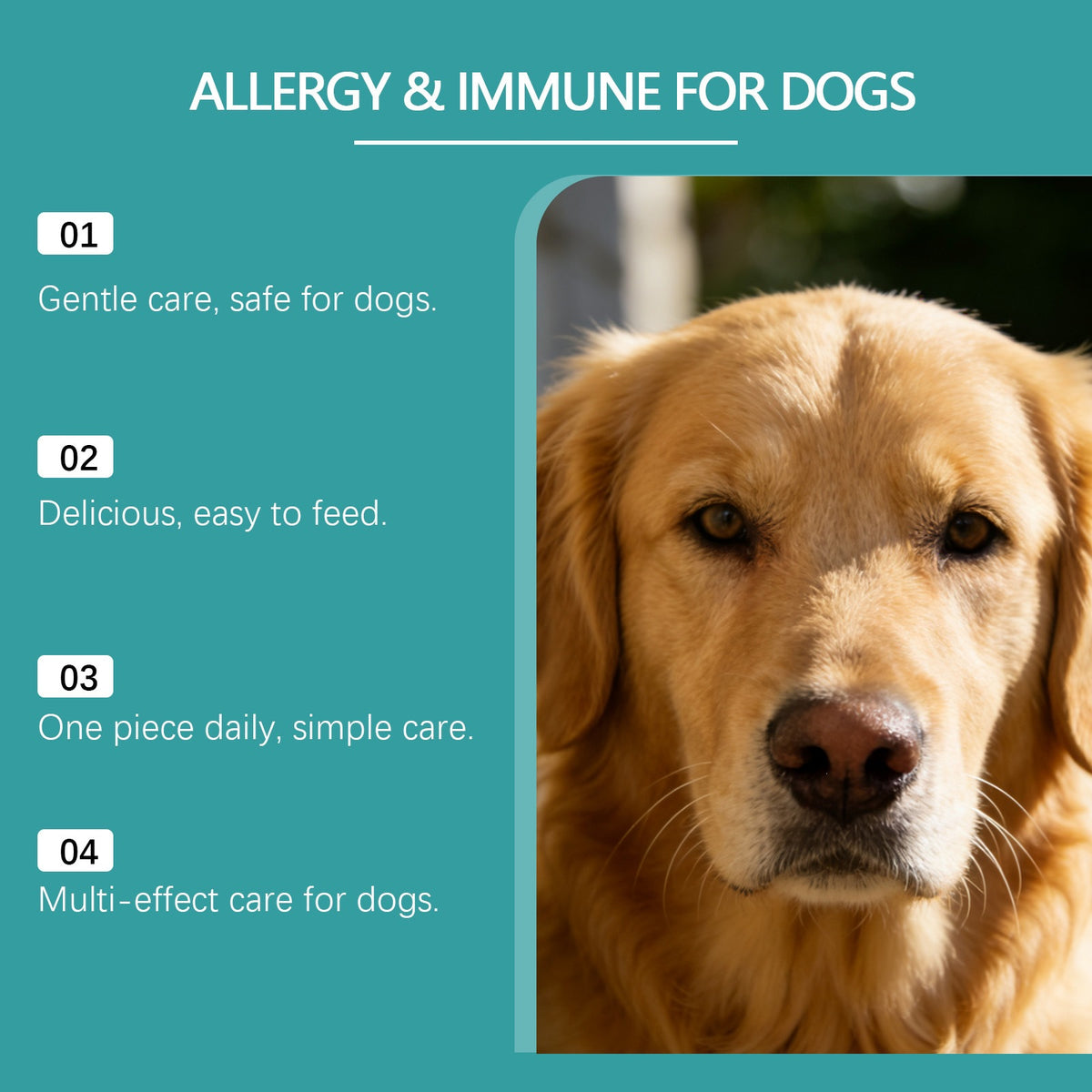 Mild Ingredient Dog Care Chewable Tablets