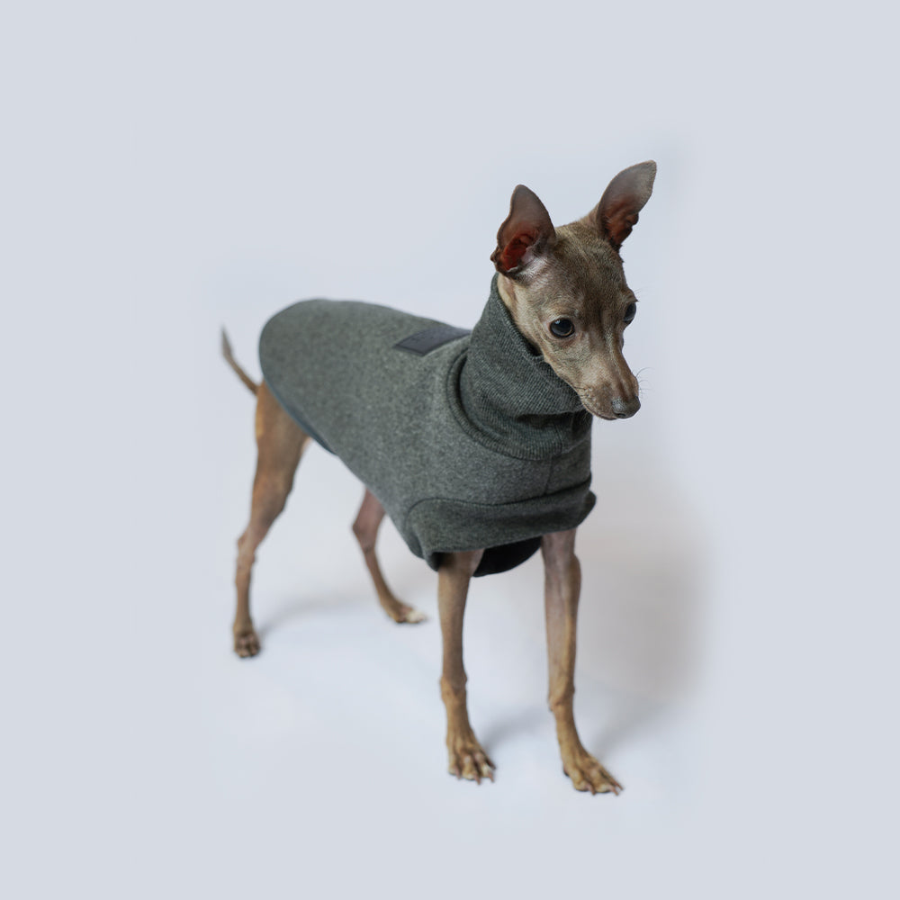 Double Thickened Dog Warm Clothes
