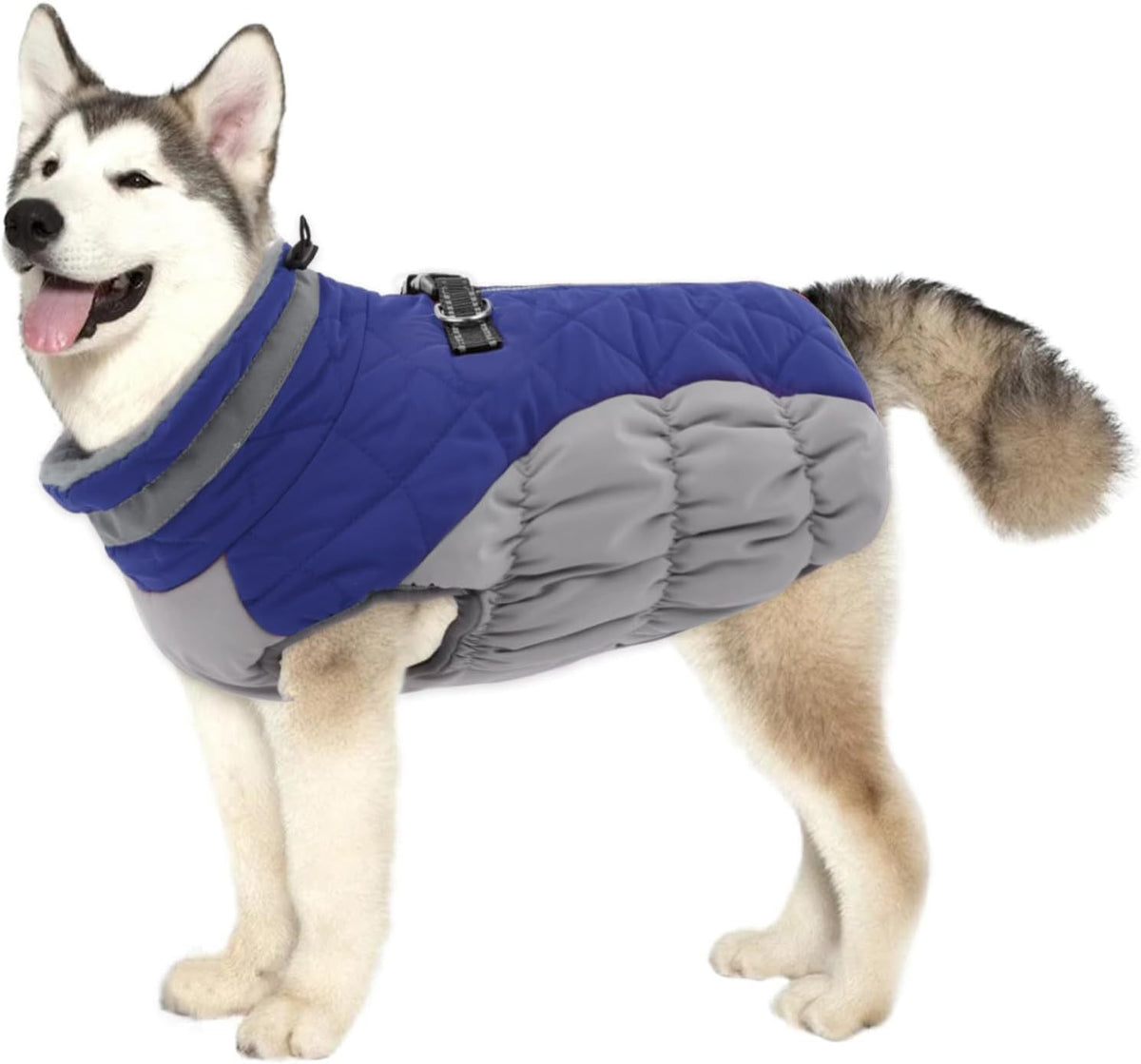 Warm Padded Winter Dog Coat