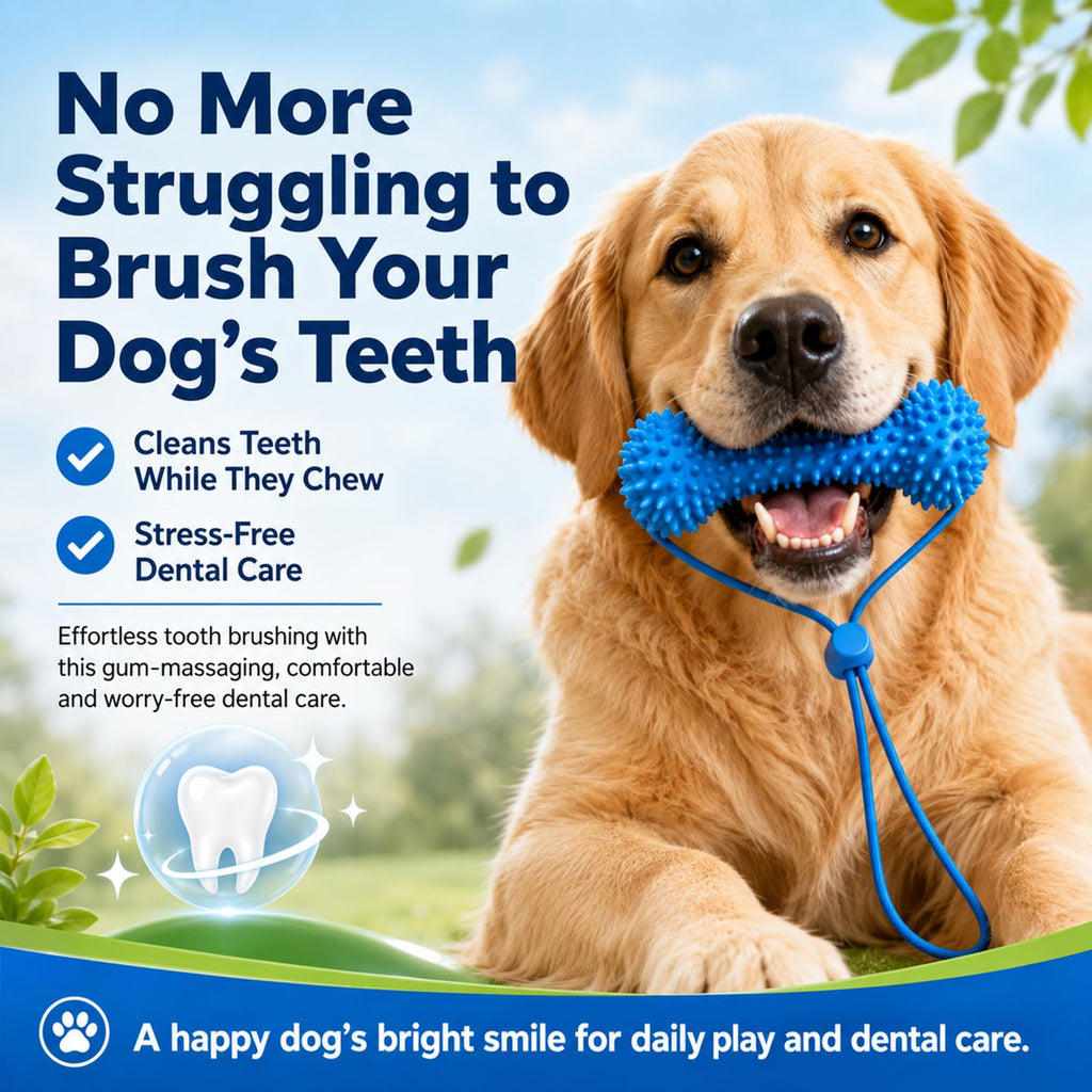 Chew And Brush Dog Toy