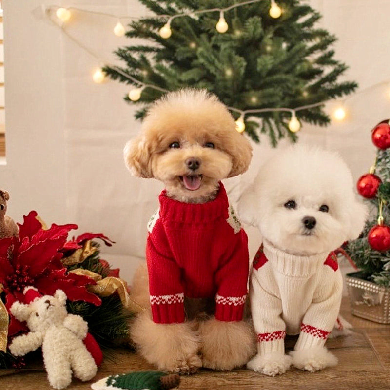 Dog Knitted Sweater Vip Schnauzer