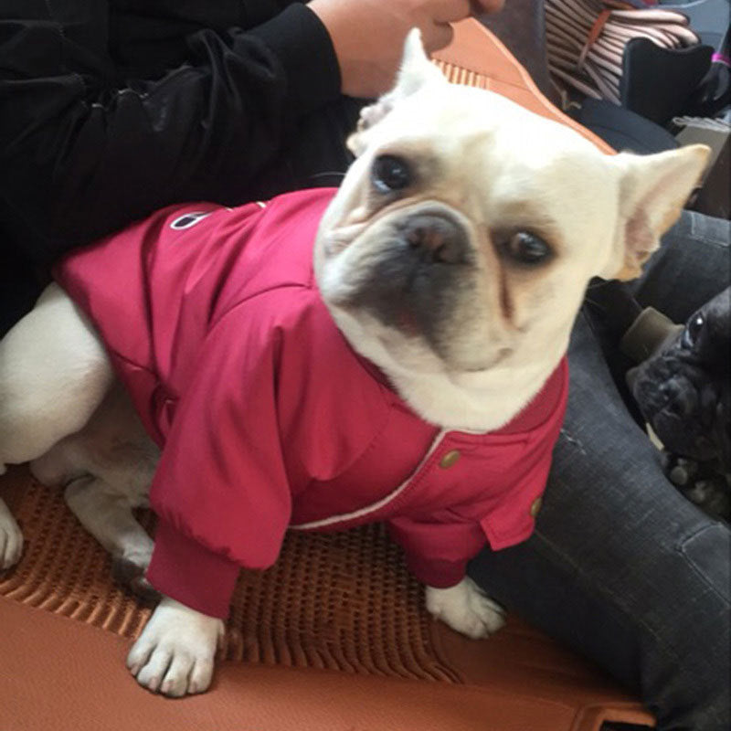 Dog Winter Clothes Padded Warm Jacket Plus Velvet