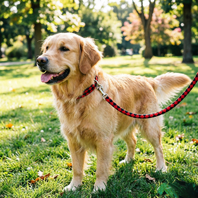 Thickened Dog Leash for Medium to Large Breeds