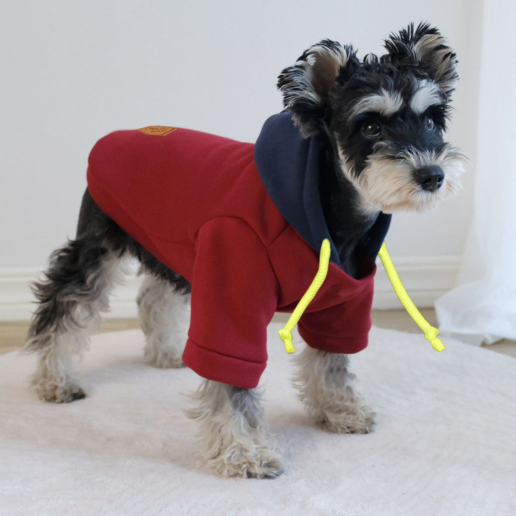 Simple Hooded Pet Pullover With Contrast Color