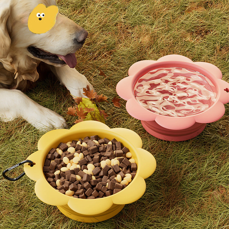 Collapsible Dog Food And Water Bowl