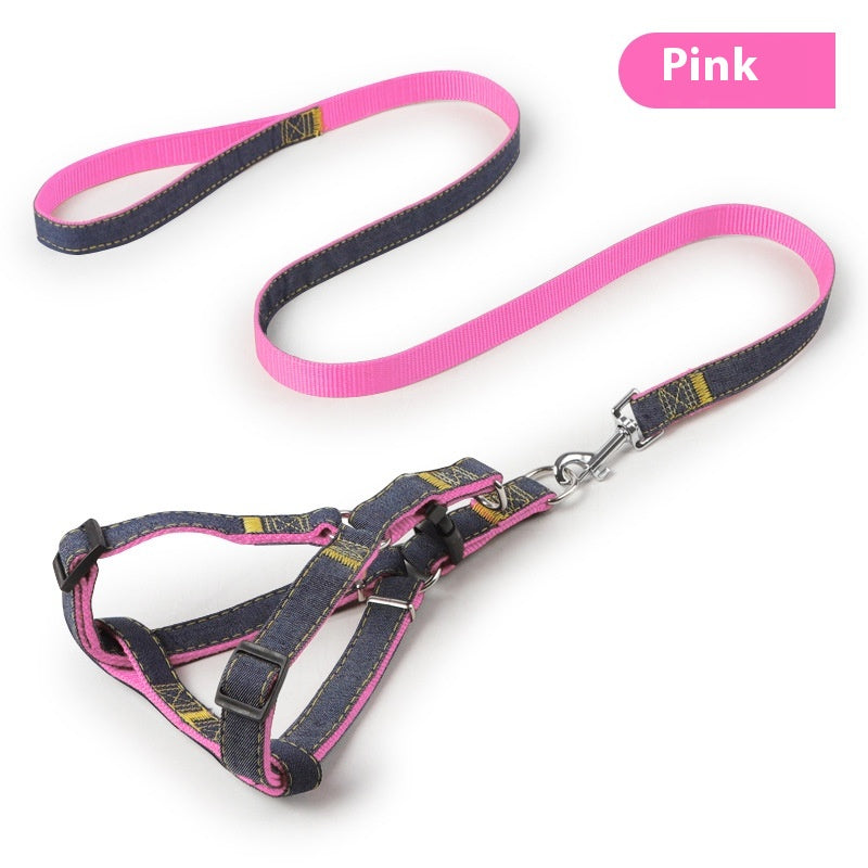 Everyday Dog Leash