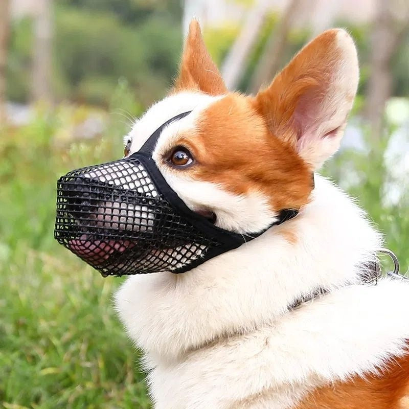 Breathable Mesh Dog Muzzle