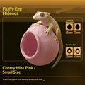 Gecko Arboreal Egg Hiding Nest