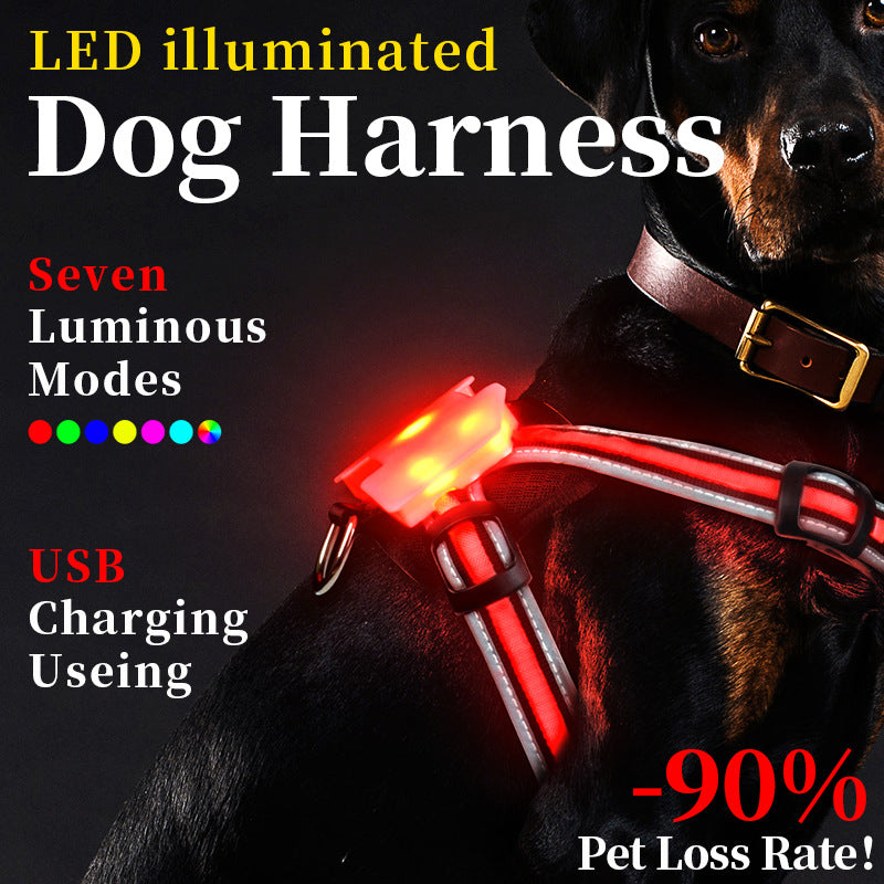 Luminous Strap Charging For Common Dogs Nylon Luminous Explosion-Proof Hand Holding Rope