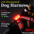 Luminous Strap Charging For Common Dogs Nylon Luminous Explosion-Proof Hand Holding Rope
