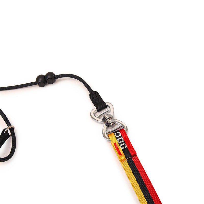 Minimalist Pet Leash Easy-To-Extend Design For Medium And Large Dogs