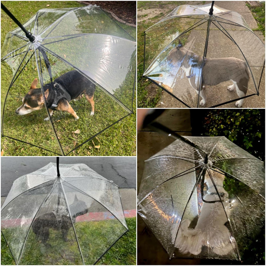 Dog Umbrella Small Breed, Clear Dog Umbrella Leash For Small Dogs, Keeps Dogs Dry Walking Rain, Doggie Rain Umbrella With Adjustable Leash,
