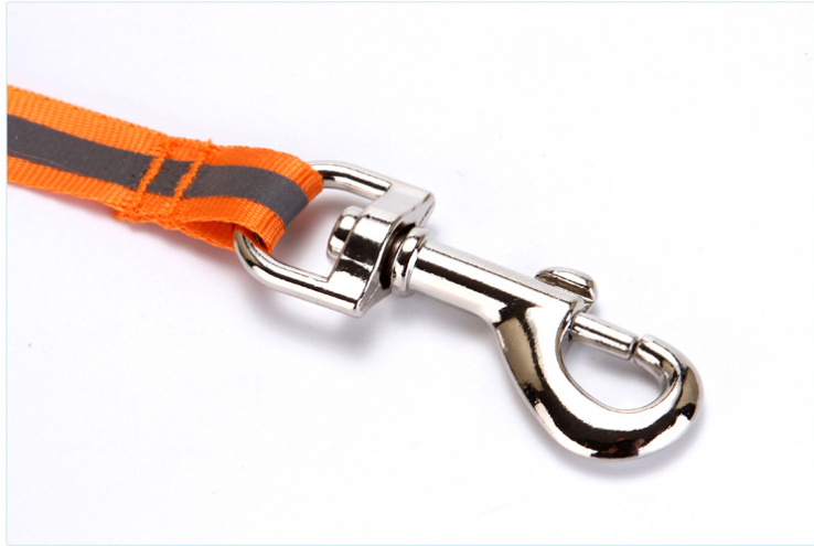 Pet Leashing Device Automatic Retractable Reflective