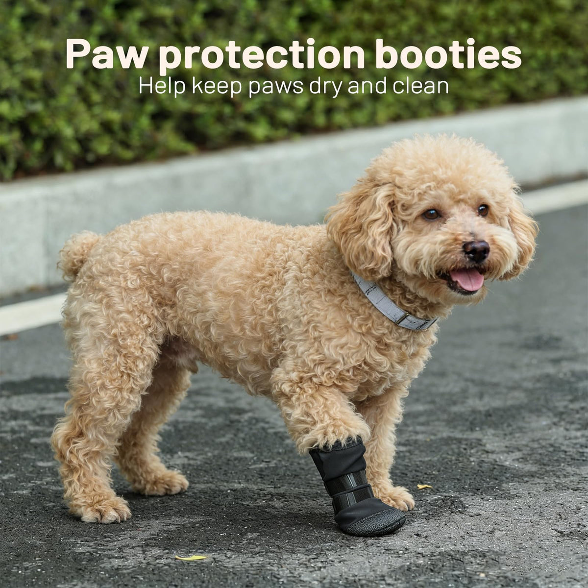 Dog Recovery Boot For Injured Paws - Breathable Dog Shoes With Non-Slip Sole & Self-Adhesive Strap, Dog Bootie To Protect Wounds From Lickin