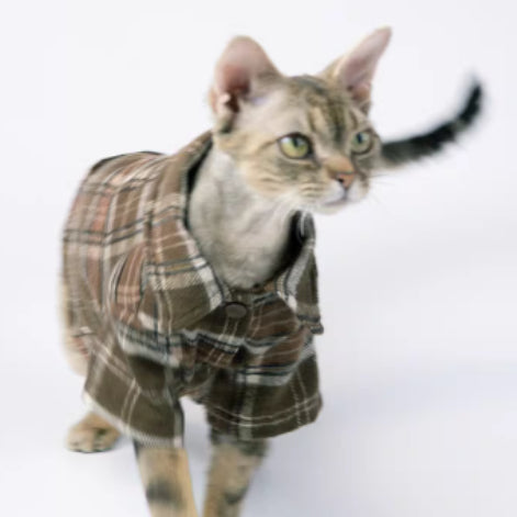Cool Skin-Friendly Short-Sleeve Summer Cat T-Shirt