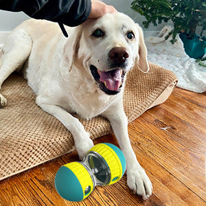 Rotating Dog Food Dispenser Pet Toy
