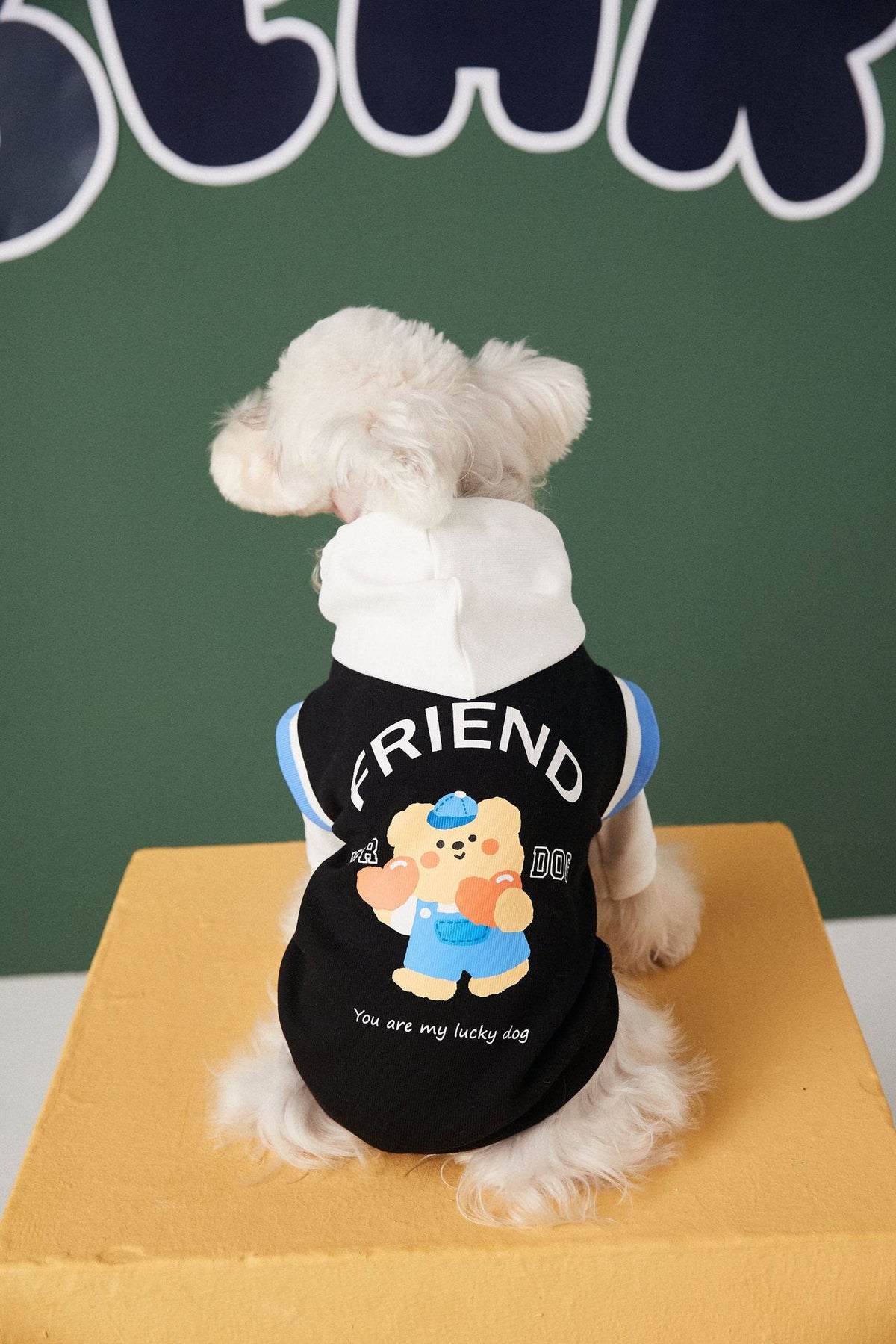 Fashion Stitching Contrast Color Fake Two-Piece Pet Sweater