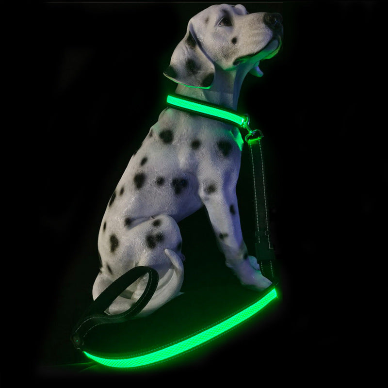Usb Charging Telescopic And Portable Pet Collar Suit