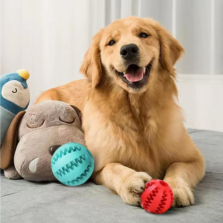 Interactive Dog Tug Toy For Small Dogs