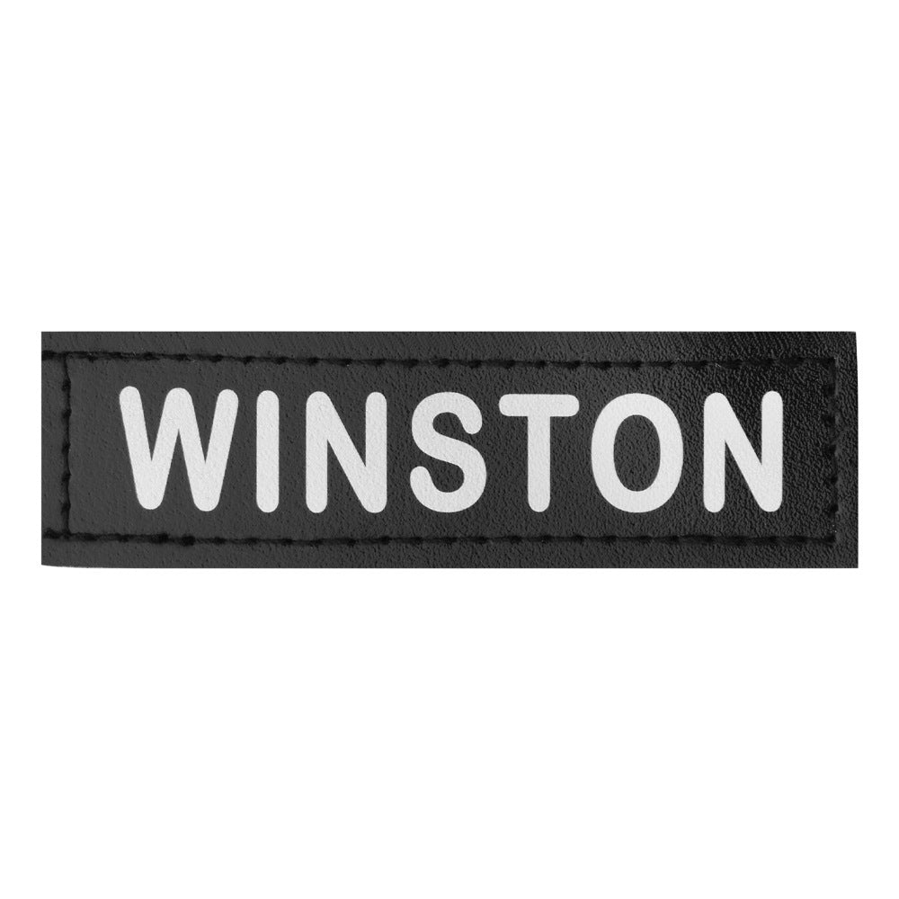 Personalized Leather Pet Name Plate