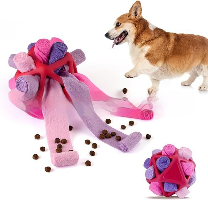 Interactive Pet Sniffing Ball Toy