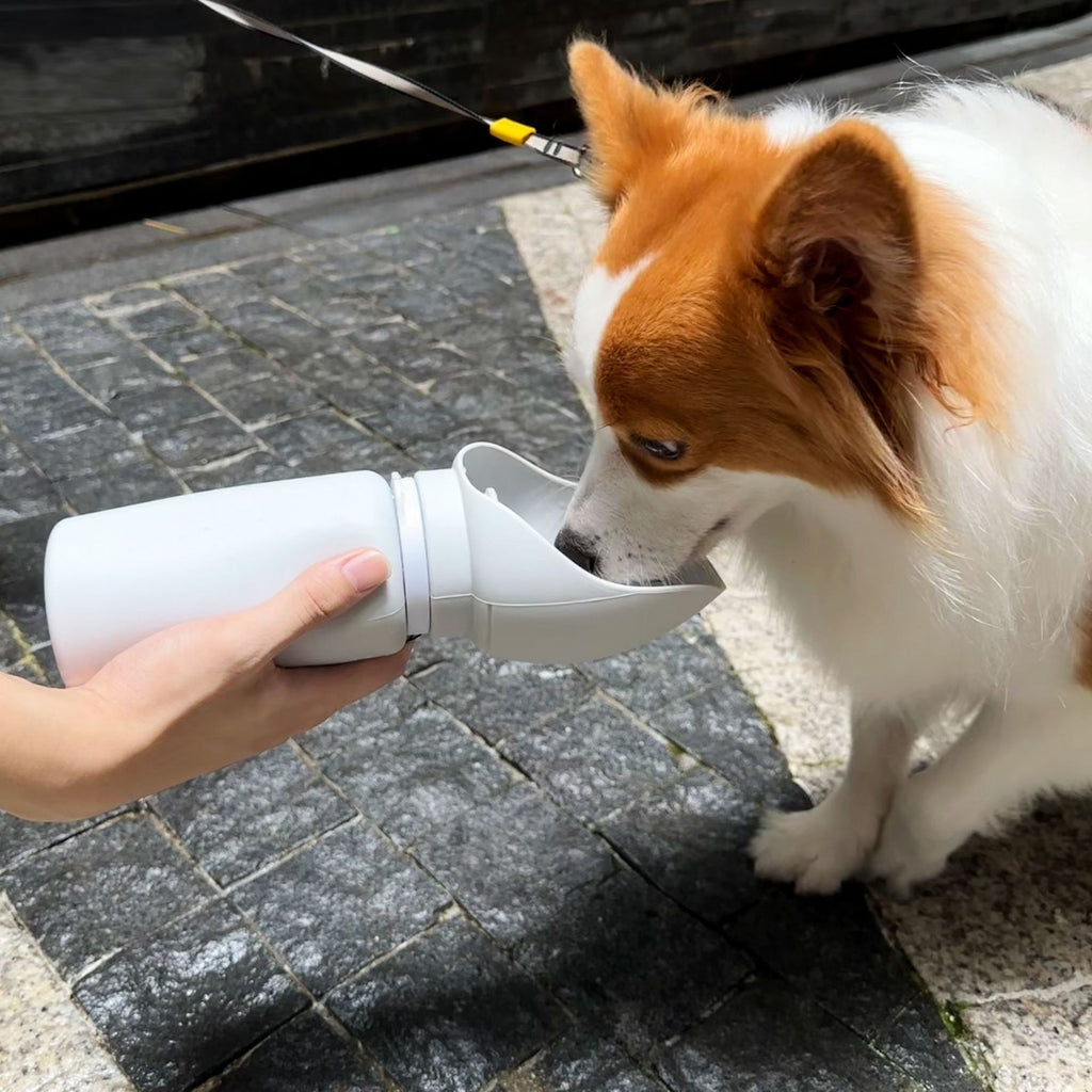 Outdoor Portable Large-Capacity Water Cup Silicone Foldable Drinking Water Bottle For Pets
