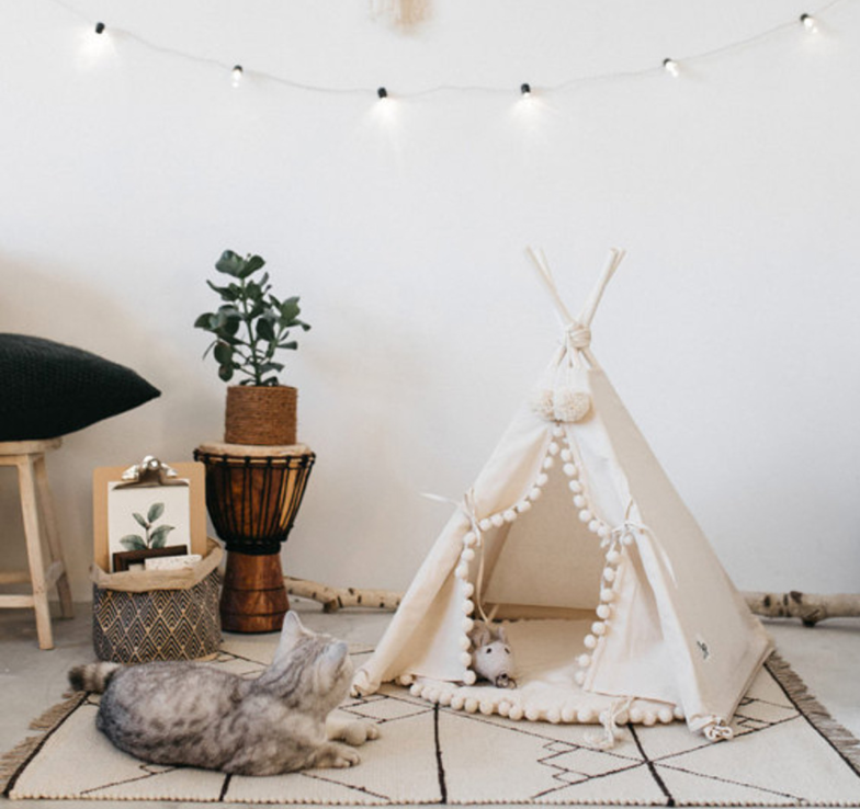 Pet Tent Bed for Cats and Small Dogs