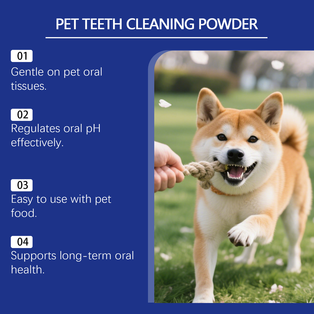 Pet Teeth Cleaning Powder