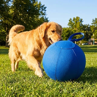 Outdoor Interactive Bite-Resistant Pet Toy