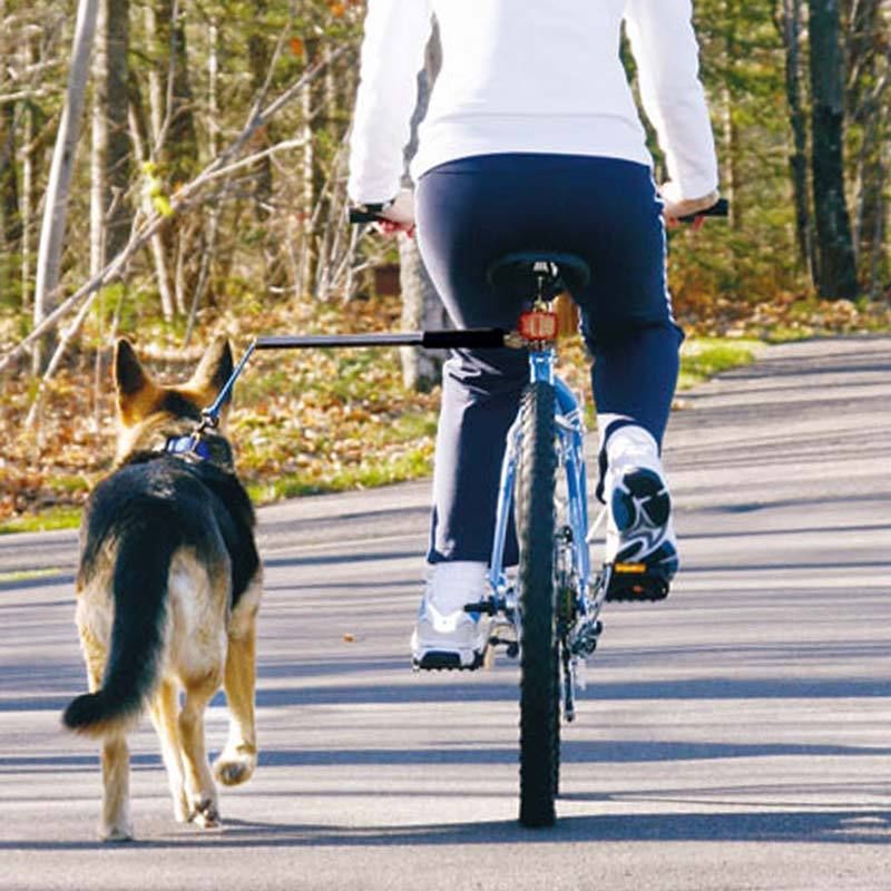 Bicycle Dog Walking Hand Holding Rope Pet