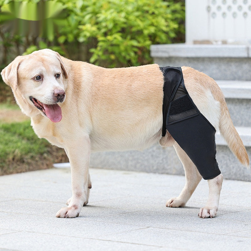 Postoperative Dog Knee Joint Support Wrap